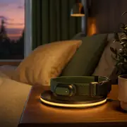 Collar charging on a bedside pad