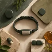 Collar and training mode materials flat lay